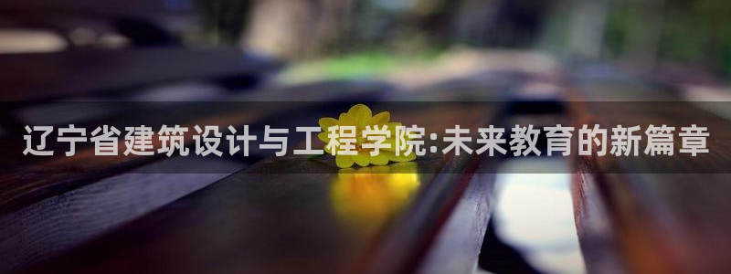 乐享发圈平台App苹果版下载