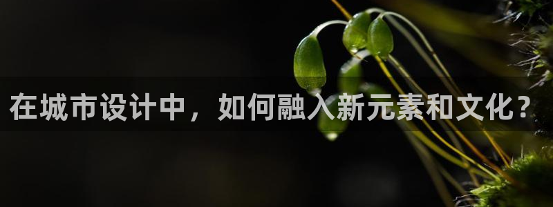 乐豪发真人平台