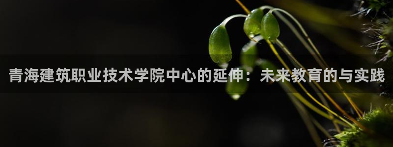 乐发彩票平台下载手机版