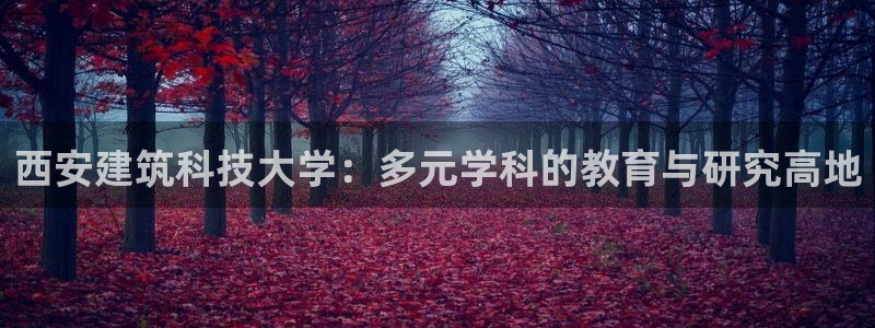 乐发lv这个平台怎么样