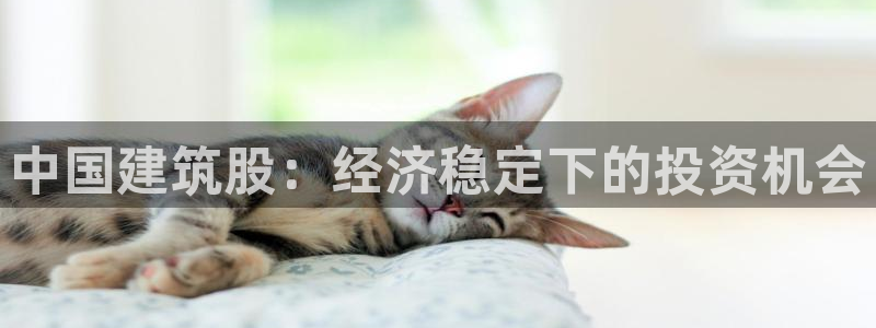 乐发传媒是个什么平台：中国建筑股：经济稳定下的投资机会