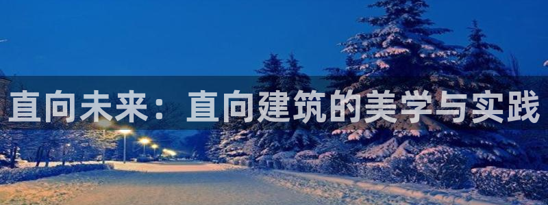 乐发平台下载官网网址：直向未来：直向建筑的美学与实践