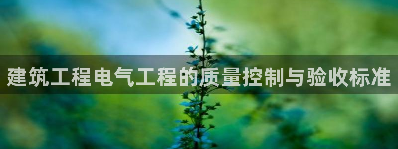 乐发v11平台怎样：建筑工程电气工程的质量控制与验收标准