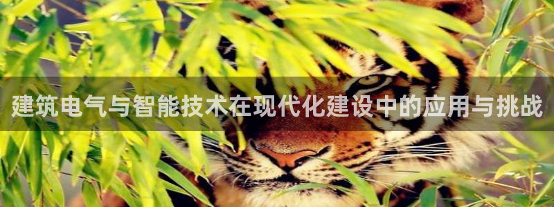 乐发旗下的平台有多少个：建筑电气与智能技术在现代化建设中的应用与挑战