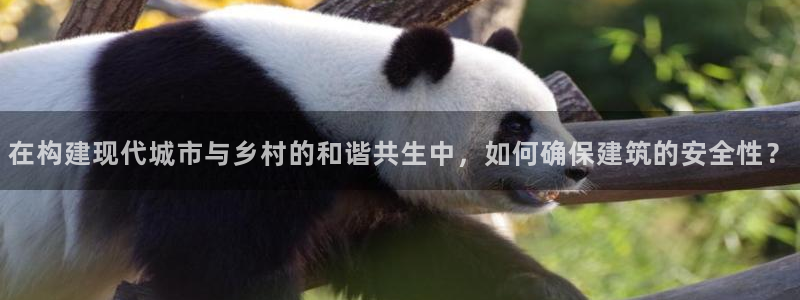 乐发购彩平台：在构建现代城市与乡村的和谐共生中，如何确保建筑的安全性？