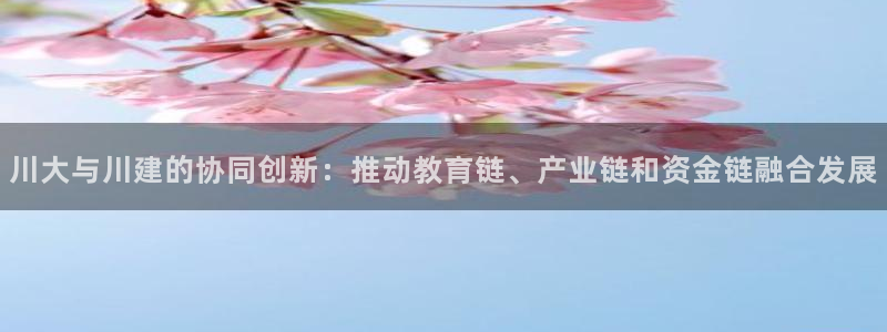 乐发彩票平台官网