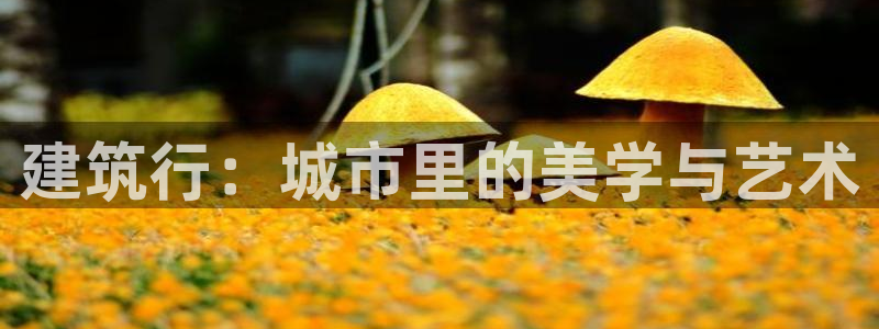 乐发彩票平台网址是多少