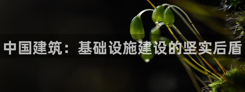 发乐发彩票平台注册码