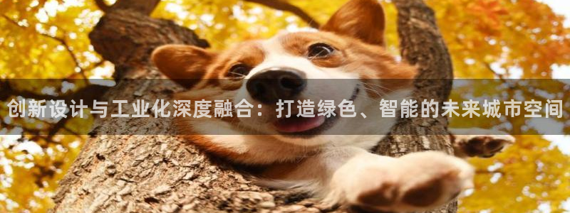 乐发平台出来的时间吗