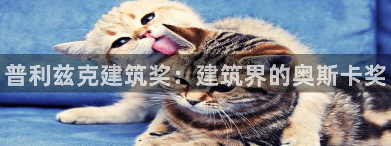 乐享发圈平台App苹果版下载