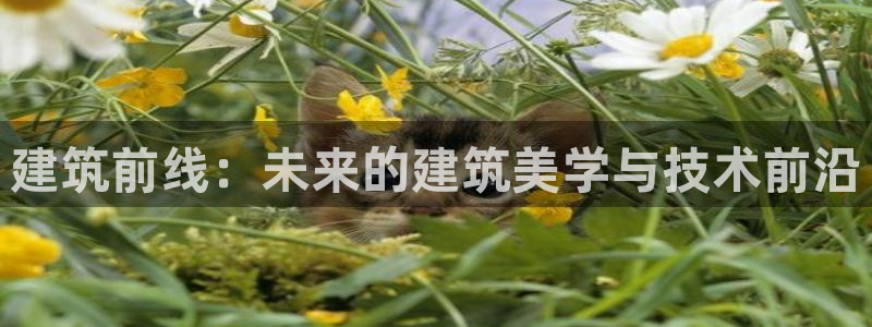 乐发彩票app平台