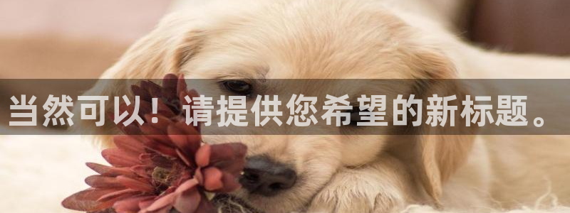 乐发彩票是什么平台：当然可以！请提供您希望的新标题。